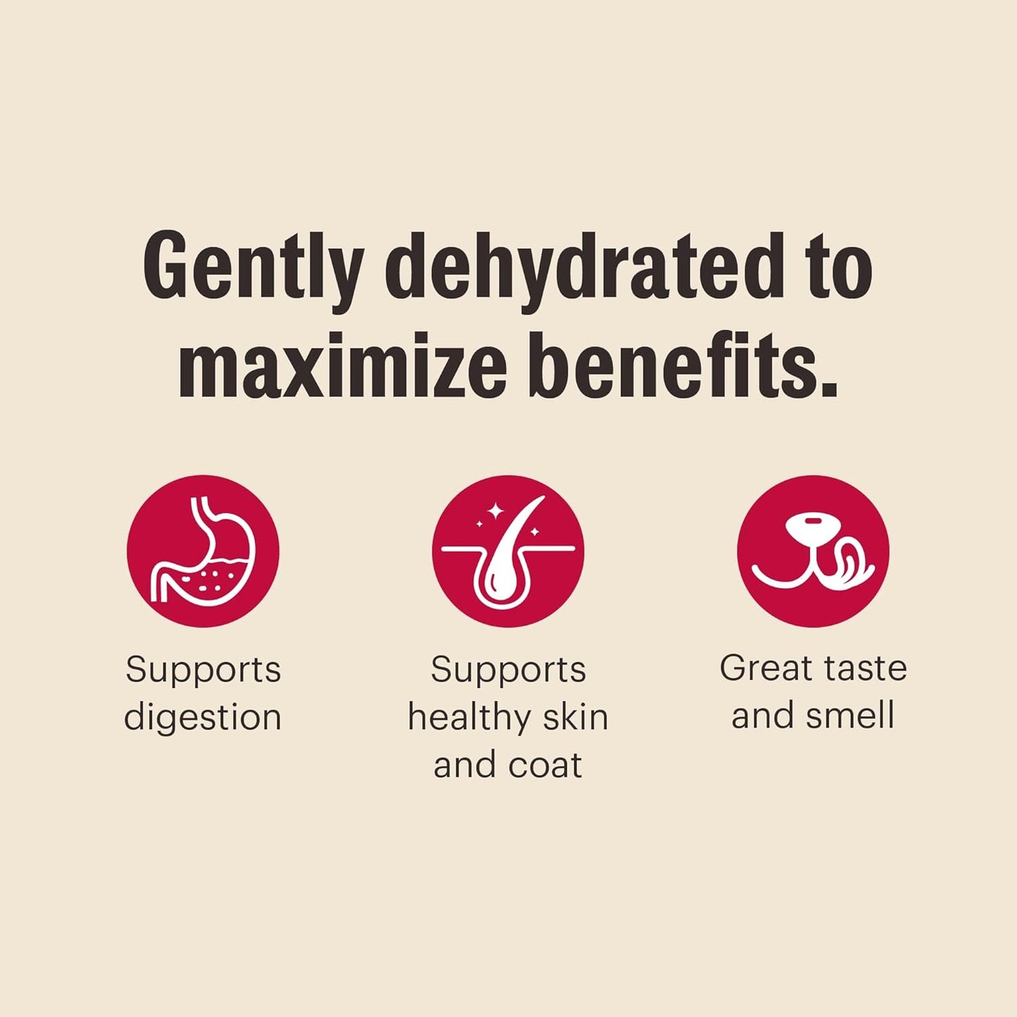 The Honest Kitchen Wholemade™ Grain Free Turkey Dog Food, 10 lb Box