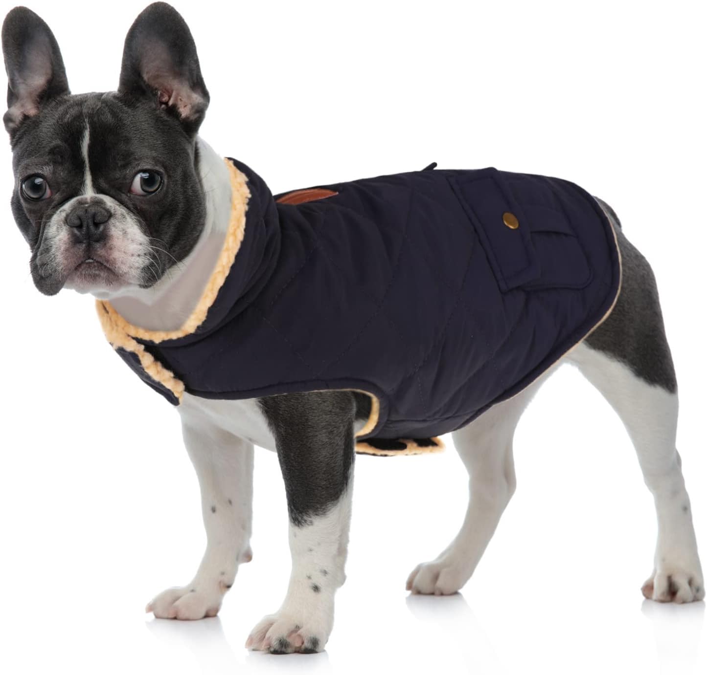 Queenmore Warm Puffer Dog Coat, Quilting Winter Jacket Ultra Thick Plush Lining with Storage Pockets (Dark Navy, X-Large)