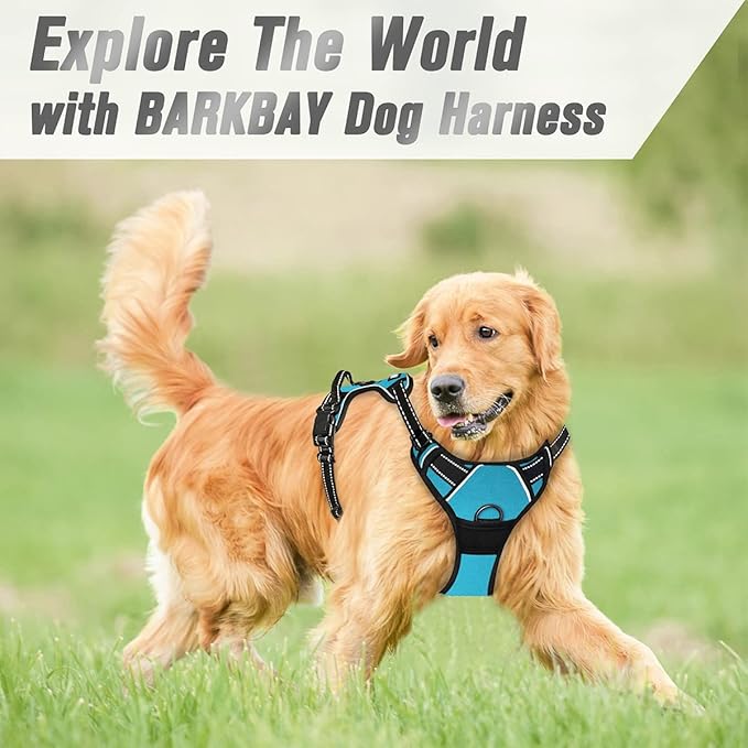 BARKBAY No Pull Dog Harness Front Clip Heavy Duty Reflective Easy Control Handle for Large Dog Walking(Blue,S)