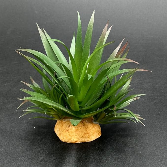 Smoothedo-Pets Reptile Artificial Plants Succulent Terrarium Decorative Desert Rainforest Plant Lizard Beard Chameleon Gecko Snake Amphibious Sea Turtle Tank Accessory (Agave-Set)