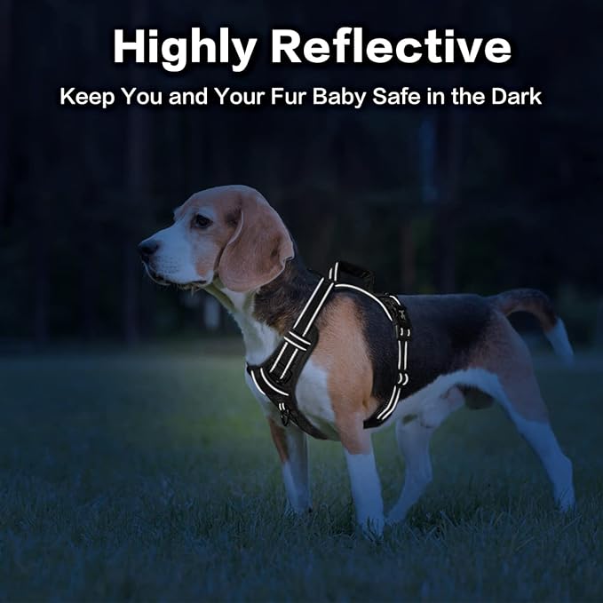 PoyPet No Pull Dog Harness, No Choke Front Clip Reflective Dog Vest with Soft Padded Vertical Handle, 3 Leash Attachments for Small Medium Large Dogs (Black,M)