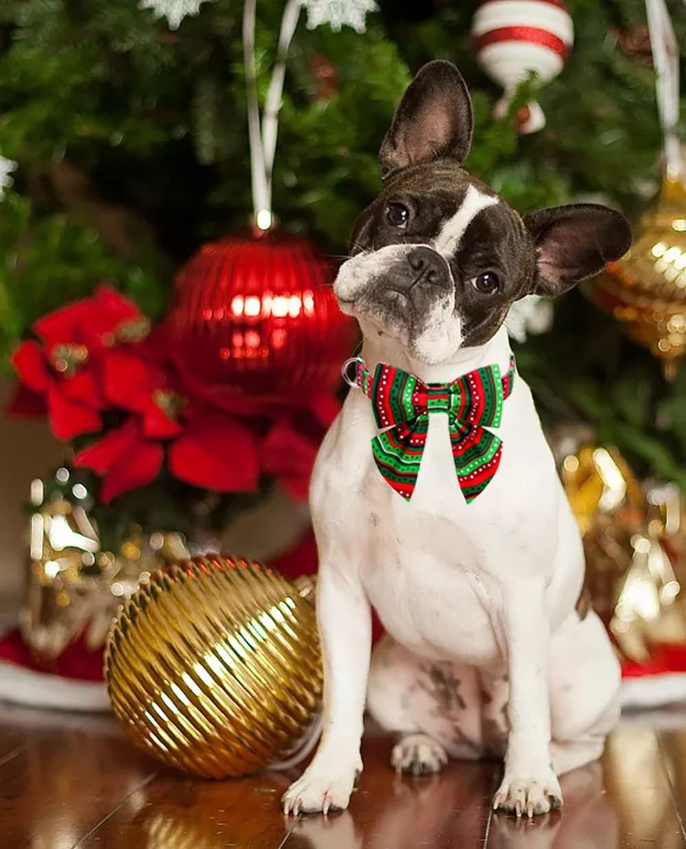 Lionet Paws Christmas Dog Collar with Bowtie, Dog Sailor Bow Collar with Metal Buckle for Dogs and Cats, Adjustable Comfortable Dog Collar Girl Gift, XS, Neck 8-12 in