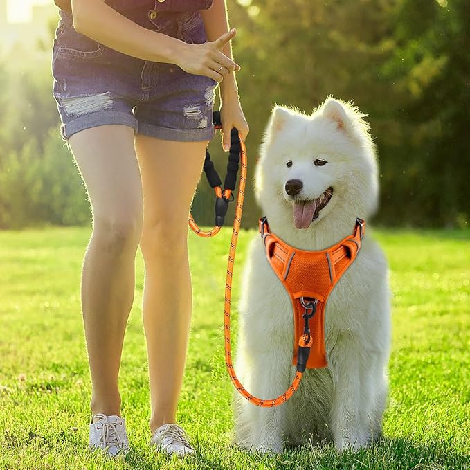 BARKBAY Dog Harness No Pull with ID Tag Pocket - Heavy Duty, Reflective, Easy Control for Large Dogs(Orange,L)