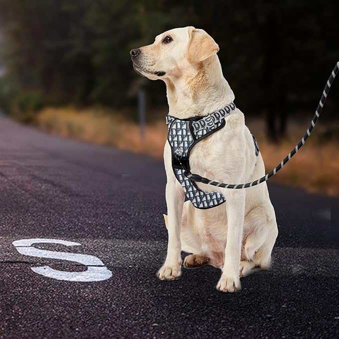 IVY&LANE No Pull Dog Harness with Leash Set, Reflective No Choke Pet Vest,Adjustable Oxford Dog Vest Harness with Easy Control Handle for Large Dogs (Vintage Blue,L)