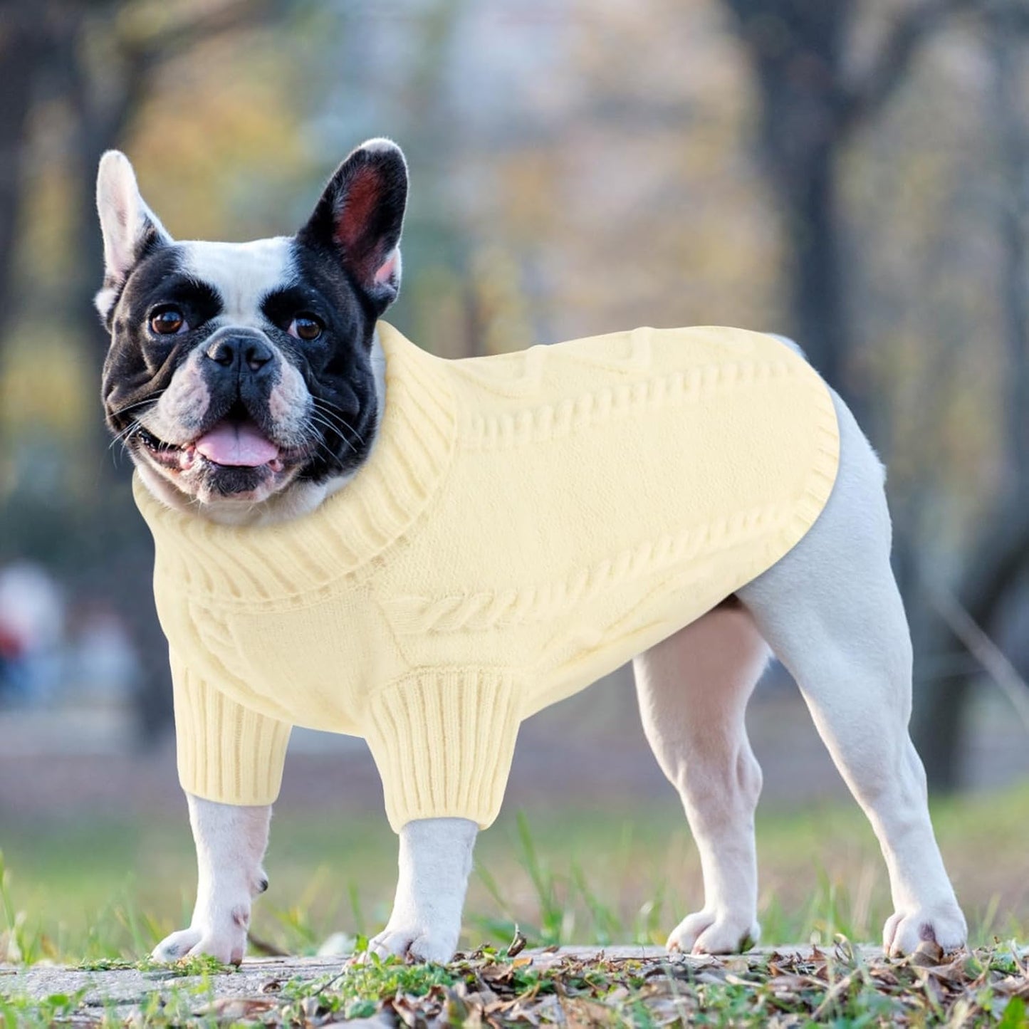 Queenmore Small Dog Pullover Sweater, Cold Weather Cable Knitwear, Classic Turtleneck Thick Warm Clothes for Chihuahua, Bulldog, Dachshund, Pug (White, Large)