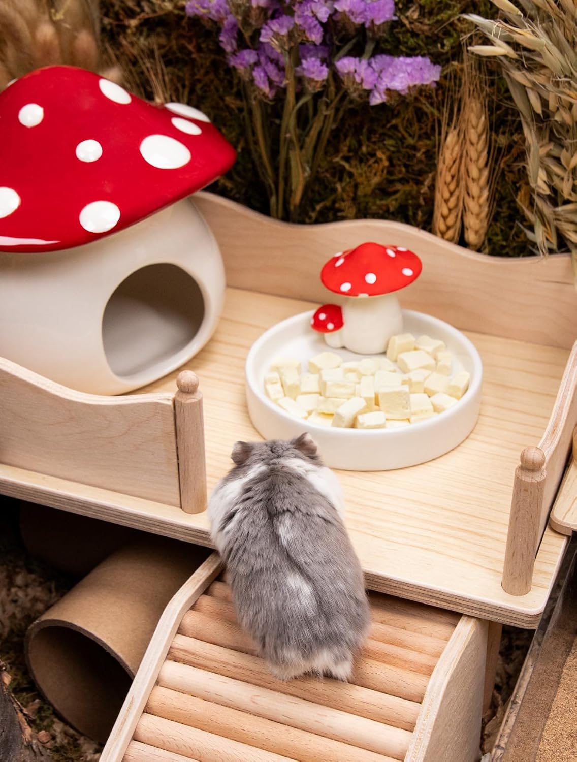 Niteangel Hamster Snack & Treats Toy - Small Animal Natural Treat for Dwarf Syrian Robo Hamsters Gerbils Mice Lemmings Degus or Other Small-Sized Pets