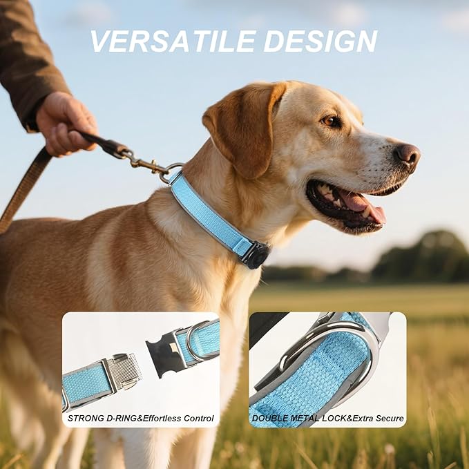 Waterproof Airtag Dog Collar - Nylon Collar with Durable Airtag Holder, Reflective&Anti-Lost with Safety Metal Buckle, Soft Padded Adjustable for Small Medium Large Dogs Blue M