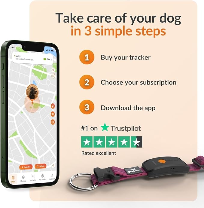 Weenect Dog XT - New GPS Collar for Dogs | XL Antenna | Waterproof | Ultra-Durable Integrated Julius-K9 Collar | Subscription Required