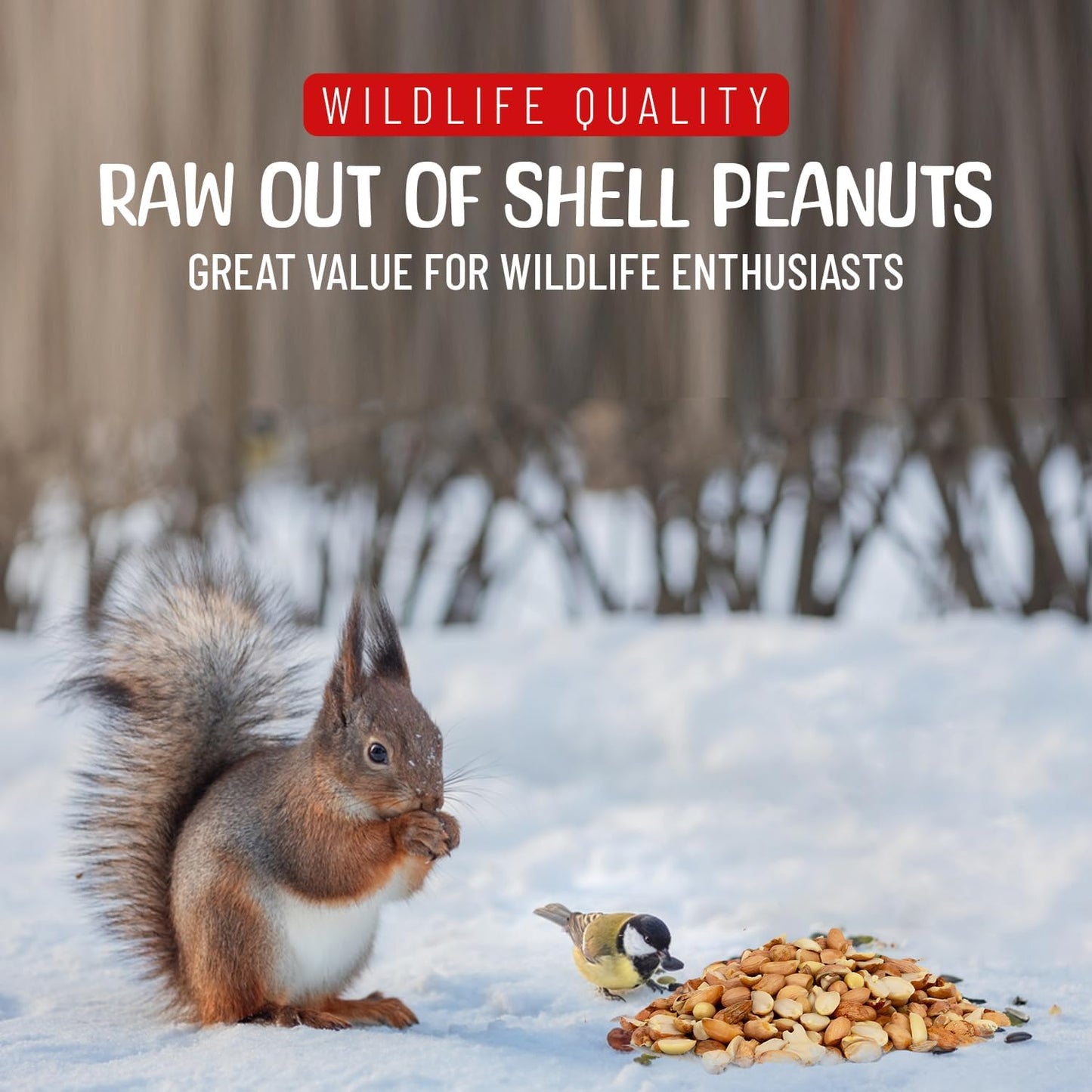 Premium Quality Raw Out of Shell Peanuts - 5 Pounds - Shelled Peanuts for Birds – Wildlife Quality - Food for Squirrels, Deer, Birds, and Other Wildlife Animals – Grown in The USA