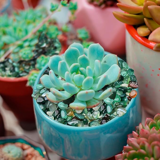 Halatool 2.2LB Natural Green Agate Stones for Aquarium Gravel & Fish Tank 0.35-0.6 Inch Decorative Pebbles for Succulent Rocks DIY Landscaping Indoor Plants Vase Fillers