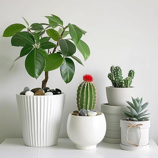 River Rocks for Landscaping, 20lbs Colorful Pebbles for Indoor Plants, 1-2 Inch Decorative Rocks for Planters, High Polished Stones for Vase Filler Fish Tank Garden