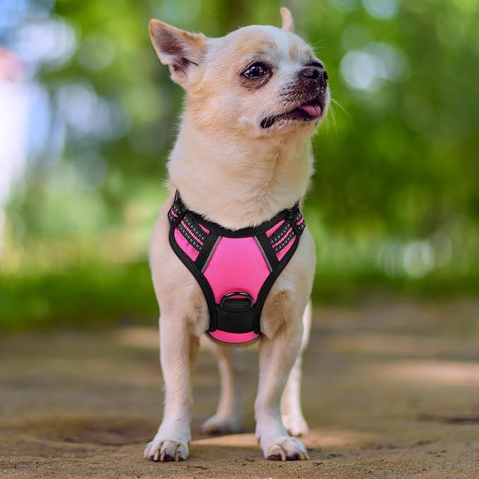rabbitgoo Dog Harness No Pull with 2 Leash Clips, Adjustable Soft Padded, Reflective Oxford No Choke Pet Vest with Easy Control Handle for Puppy, Hot Pink, XS