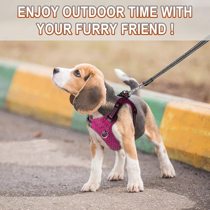 Dog Harness Step in Dog Vest Harness, Reflective Adjustable Puppy No Pull Harness Breathable Soft for Small and Medium Dogs Cats, Pink/Black, XS