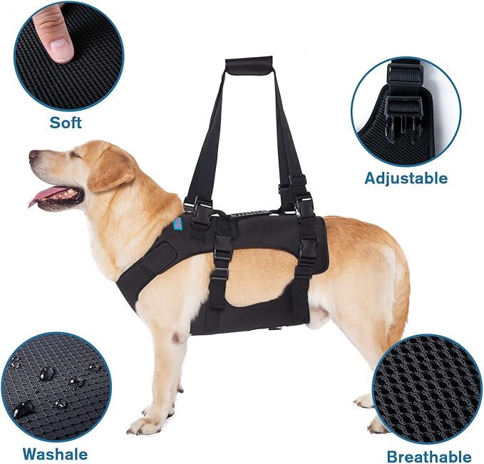 Dog Lift Harness, Rehabilitation Lifts Vest for Dogs, Support & Recovery Sling, Adjustable Breathable Lifting Straps for Old, Joint Injuries, Arthritis, Paralysis Dogs Walk (M, Black)