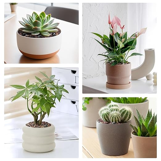 2.5lbs Small Rocks for Terrarium, Planters Drainage, 1/5 Inch Lava Rock for Bonsai Tree, Decorative Gravel for Succulents, Bamboo, Cactus, Mixed Color