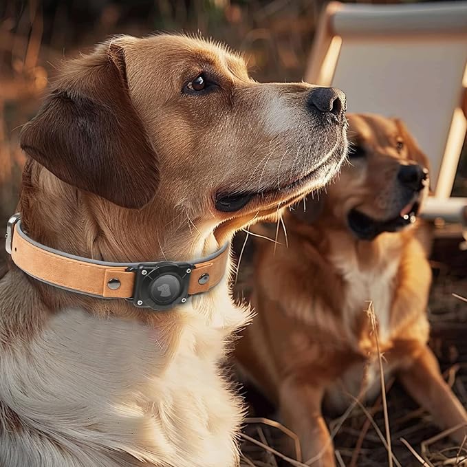 AirTag Dog Collar - Leather Dog Collar with Air Tag Holder | IPX8 Waterproof, Reflective, High - End, Adjustable Soft Padded | Dog GPS Tracker Collars Fit for Medium Large Dogs (Light Brown, M)