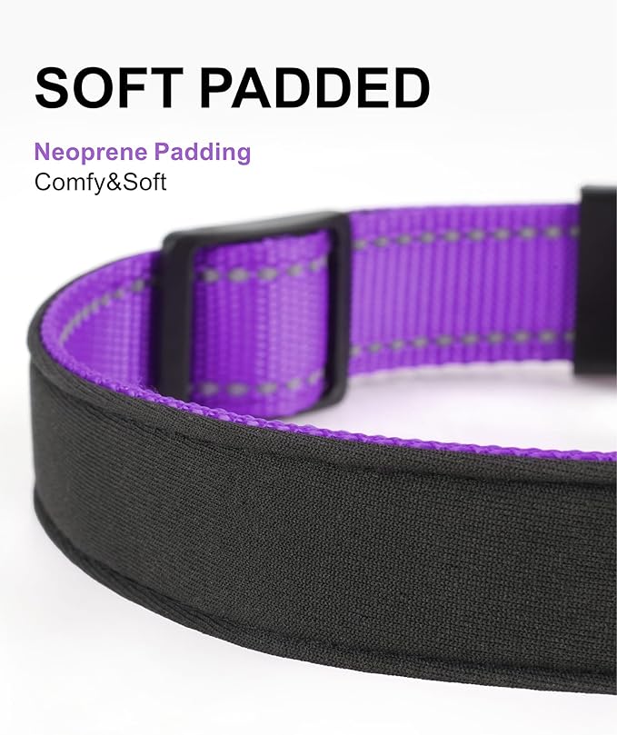 TagME Airtag Dog Collar,Waterproof Reflective Pet Collar with Airtag Holder,Soft Padded and Double D-Rings for Small Dogs,Purple