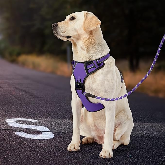 IVY&LANE No Pull Dog Harness for Medium Dogs, Dog Vest Harness with Leash, Safety Belt and Storage Strap, Fully Adjustable Harness, 360° Reflective Strip, Soft Handle (Purple, M)