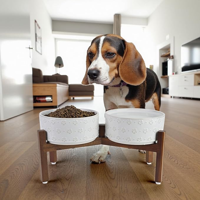 SPUNKYJUNKY Ceramic Dog Bowls Dog Bowl Set with Acacia Wood Stand Raised Dog Bowl Dog Food and Water Bowl for Small Medium Sized Dog (18.5cm)