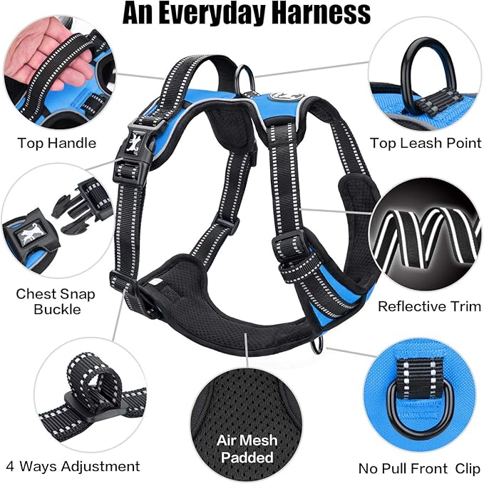 PoyPet No Pull Dog Harness, Reflective Comfortable Vest Harness with Front & Back 2 Leash Attachments and Easy Control Handle Adjustable Soft Padded Pet Vest for Small to Large Dogs (Blue,S)