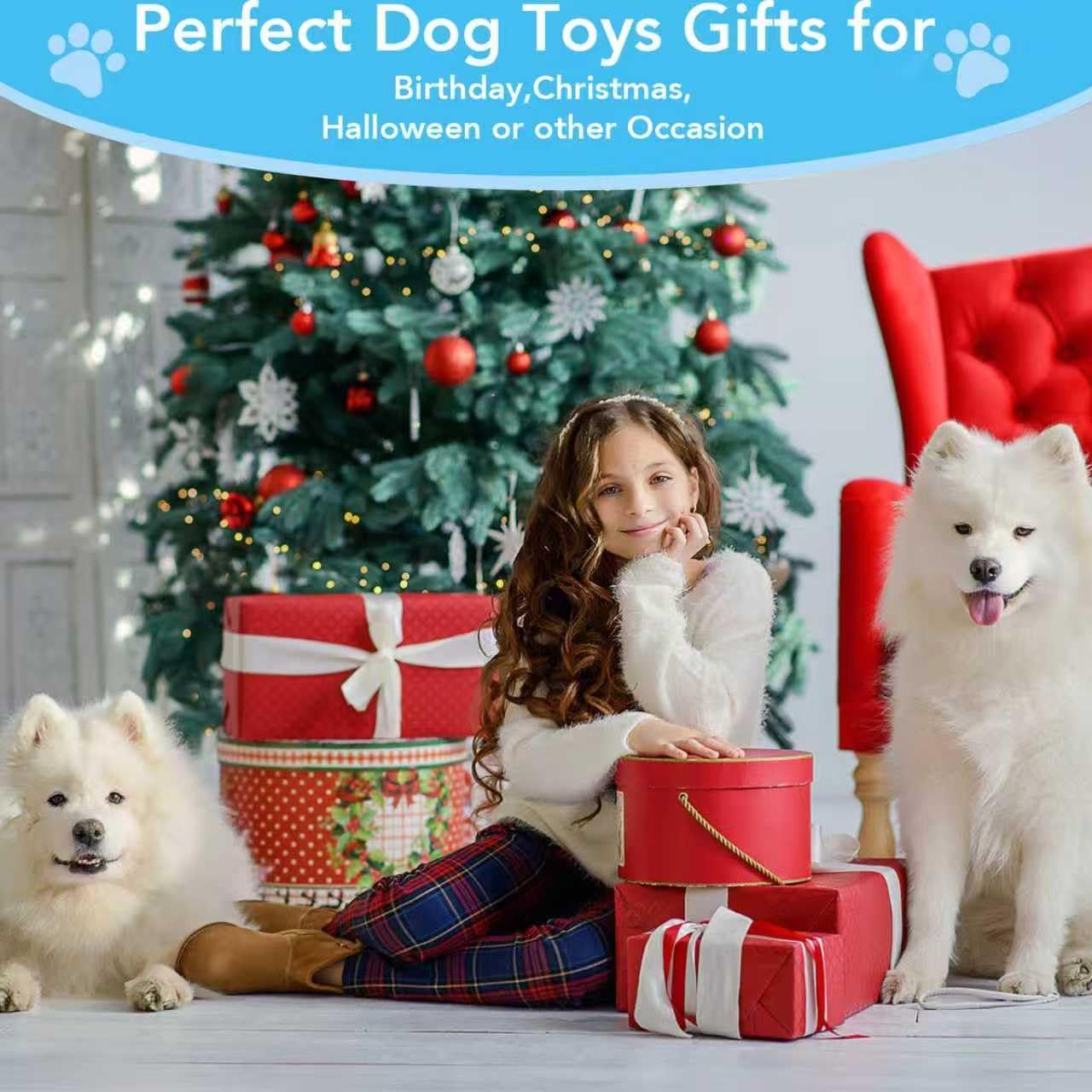 Bzonsmart Squeaky Dog Toys, 5 PCS Crinkle Dog Toy Plush, Dog Toys Value Pack for Small Medium and Large Dogs, Dog Chew Toys to Keep Them Busy