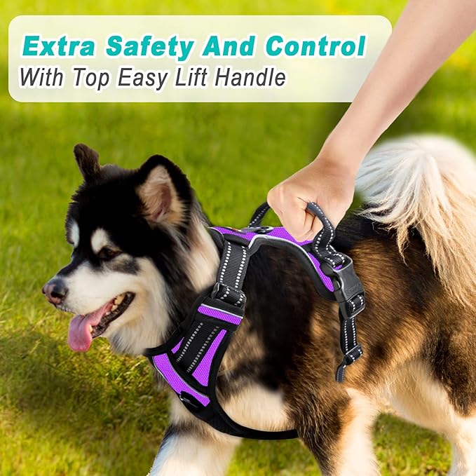BARKBAY No Pull Dog Harness Large Step in Reflective Dog Harness with Front Clip and Easy Control Handle for Walking Training Running(Purple,S)