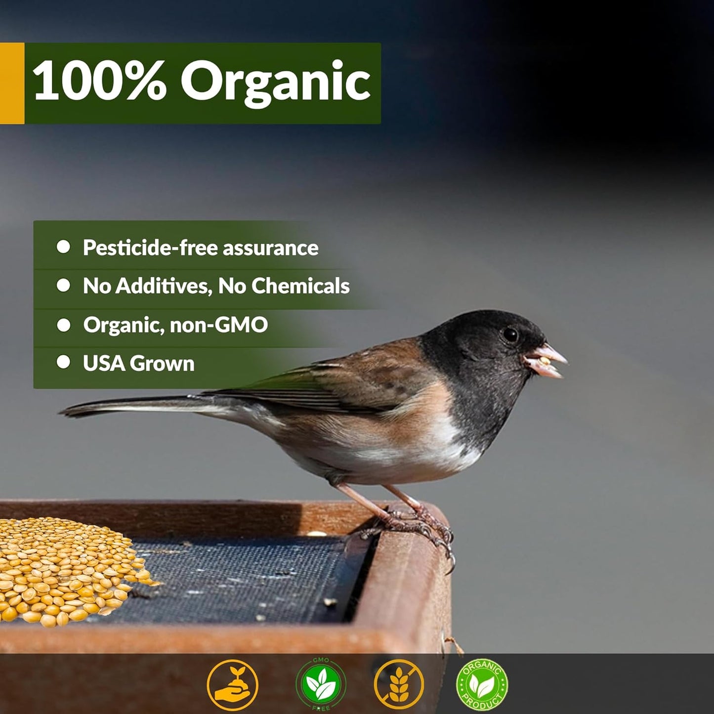 Wildlife Organic White Millet for Bird Feeding and Wildlife Bird attracting, Non-GMO and USA Grown, 25 lbs