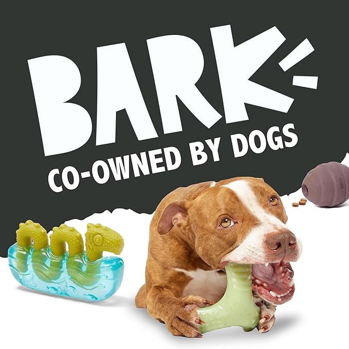 Barkbox Super Chewer Tough Dog Chew Toys for Aggressive Chewers, Plush 2 Toys in 1 (Parrot - Large)