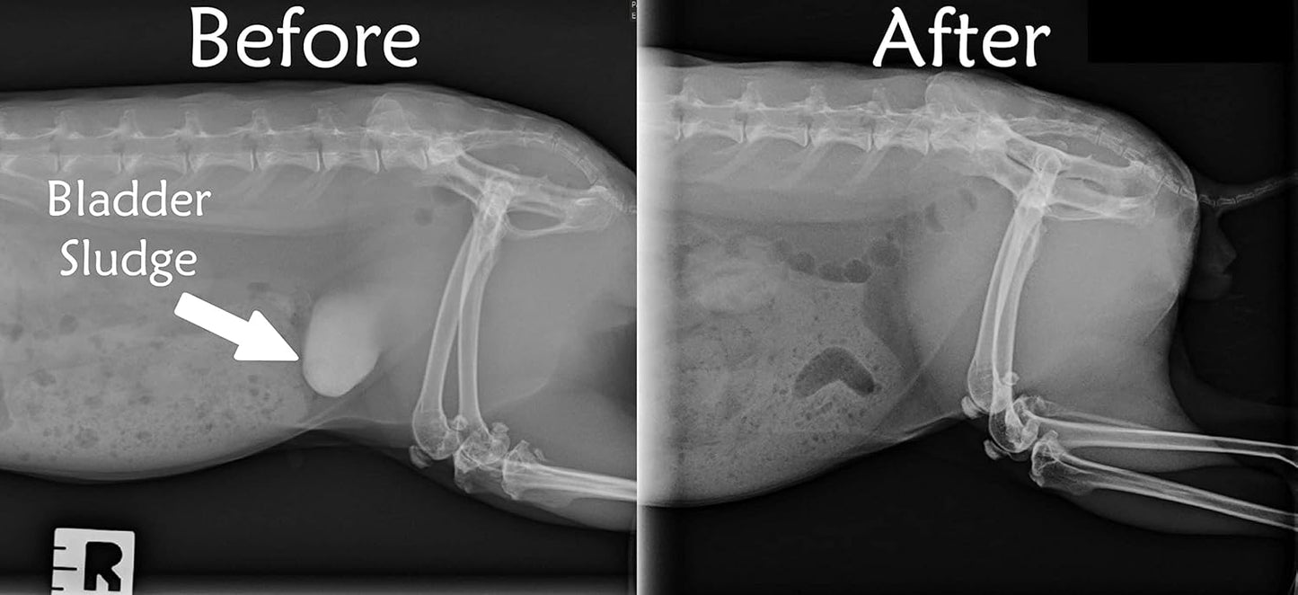 Sherwood Pet Health Adult Guinea Pig Food Measured Timothy Pellet (10 Pound) Hay-Based, Grain-Free, Soy-Free for Better Digestion