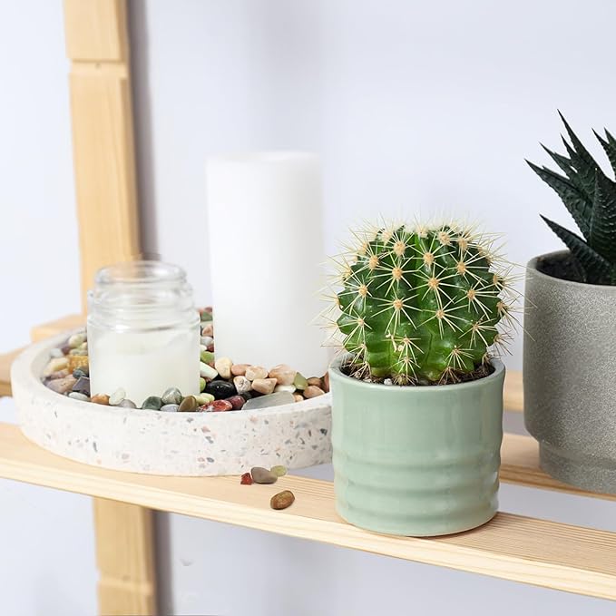 10 lbs Small Succulent Rocks, 3/8 Inch Colorful Polished Pebbles for Indoor Plants. Decorative Rocks for Plants Indoor, Vases, Planters Aquarium and Outdoor Landscaping Garden