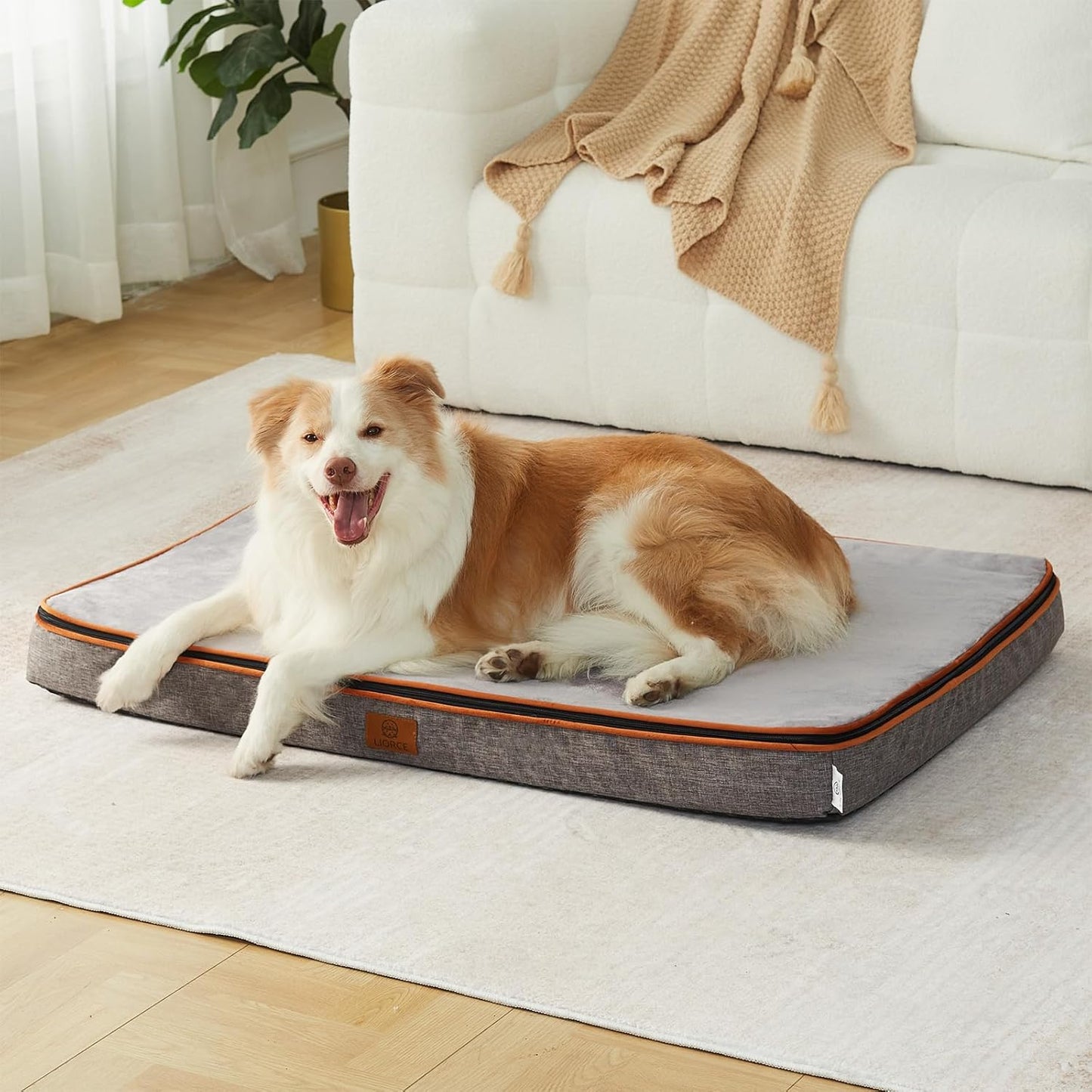 Memory Foam XL Dog Bed - 4” Thick Orthopedic Beds for Extra Large Dogs - Waterproof Dog Bed with Removable Washable Cover & Wrap-Around Zipper - Ultimate Comfort and Easy Maintenance