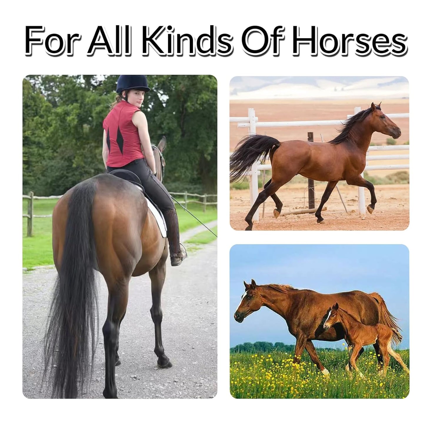 Horse Tail Extension with Braided Horsehair Loop, Blunt Cut Bottom, 3/8 lb, 28-30 inches (dark gray)