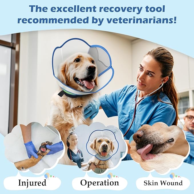 Hard & Heavy Plastic Dog Cone Collar Alternative for Medium Dogs (French Bulldog Dachshund),Pet Neck Head Protective Cone Anti-Lick, Adjustable Elizabethan Recovery Collar Cone of Shame for Healing