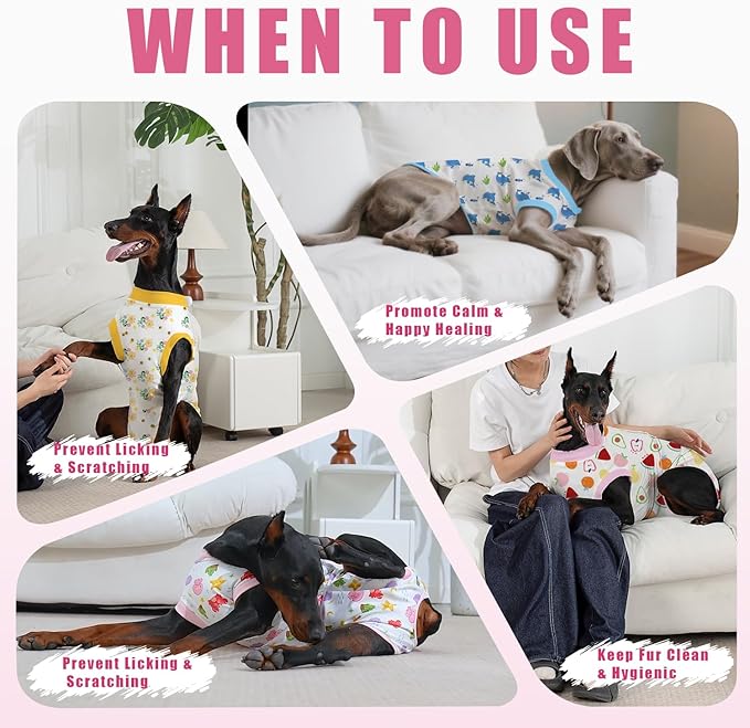 Recovery Suit for Dogs After Surgery, Professional Dog Surgical Suit for Female Spay, Male Neuter, E-Collar & Cone Alternative Dog Onesie for Abdominal Wounds Skin Disease, Fruit, XL