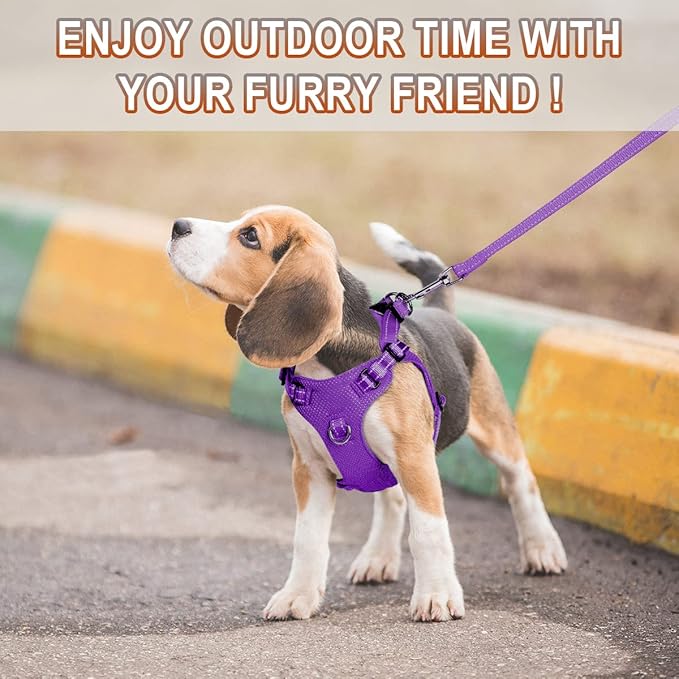 Dog Harness Step in Dog Vest Harness, Reflective Adjustable Puppy No Pull Harness Breathable Soft for Small and Medium Dogs Cats, Purple, XS