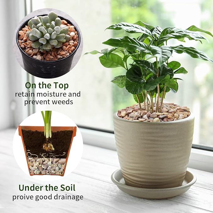 2 lb Natural Pea Gravel Small Pebbles - 3/8 Inch Pebbles for Indoor Plants, Succulents Rocks, Fish Tank Gravel, Terrarium Rocks and Patio Paver Decorative Stones