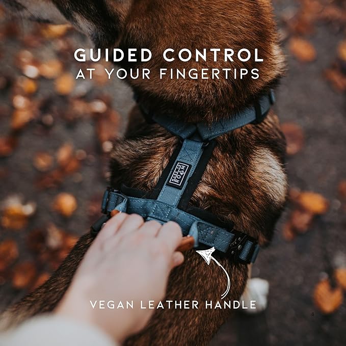 MADE TO ROAM Premium Explorer Harness - Y-Shaped Dog Harness with Adjustable Durable Nylon, Soft Padding, Metal Buckles and Leather Handle for Small, Medium, Large Dogs (Virginia Mountains, Size 1)