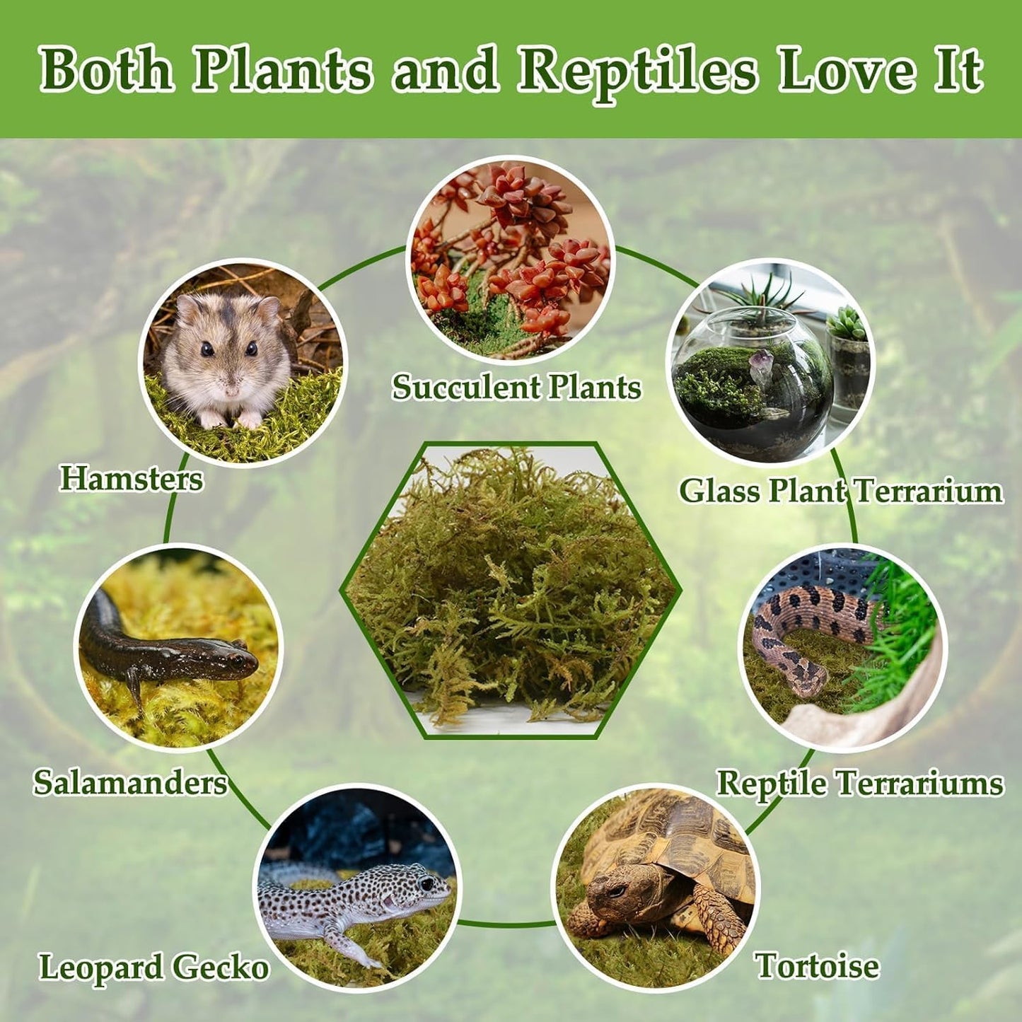 Halatool 9OZ Natural Sphagnum Moss for Reptiles- 14QT Green Live Moss for Terrarium Plants Long Fiber Reptile Moss for Leopard Gecko Snake Hamsters Tortoises Frogs Lizards Salamanders