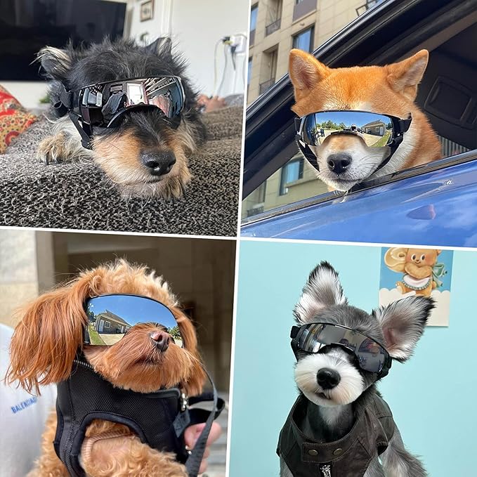 Lesypet Dog Goggles for Small Breed, Windproof UV Protection Small Dog Sunglasses Outdoor Walking Driving Pet Sunglasses Eye Protection with Adjustable Straps, Silver