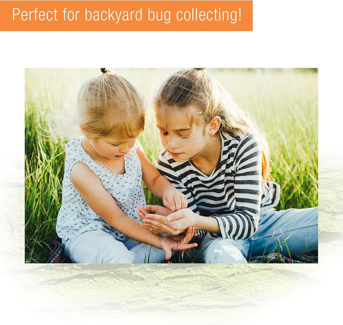 Zilla Micro Habitat Terrarium, Terrestrial, with Locking Latch, for Isopods, Spiders, Insects, Large