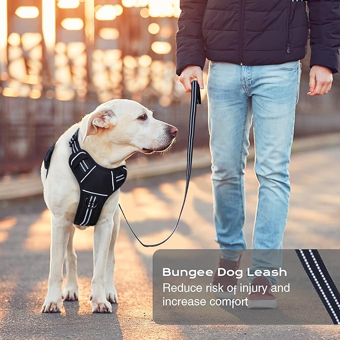 No Pull Dog Harness for Medium Dogs, Adjustable No Choke Pet Vest with Dog Leash Fit Smart Reflective Pet Walking Harness for Training Easy Control Soft Handle Black L
