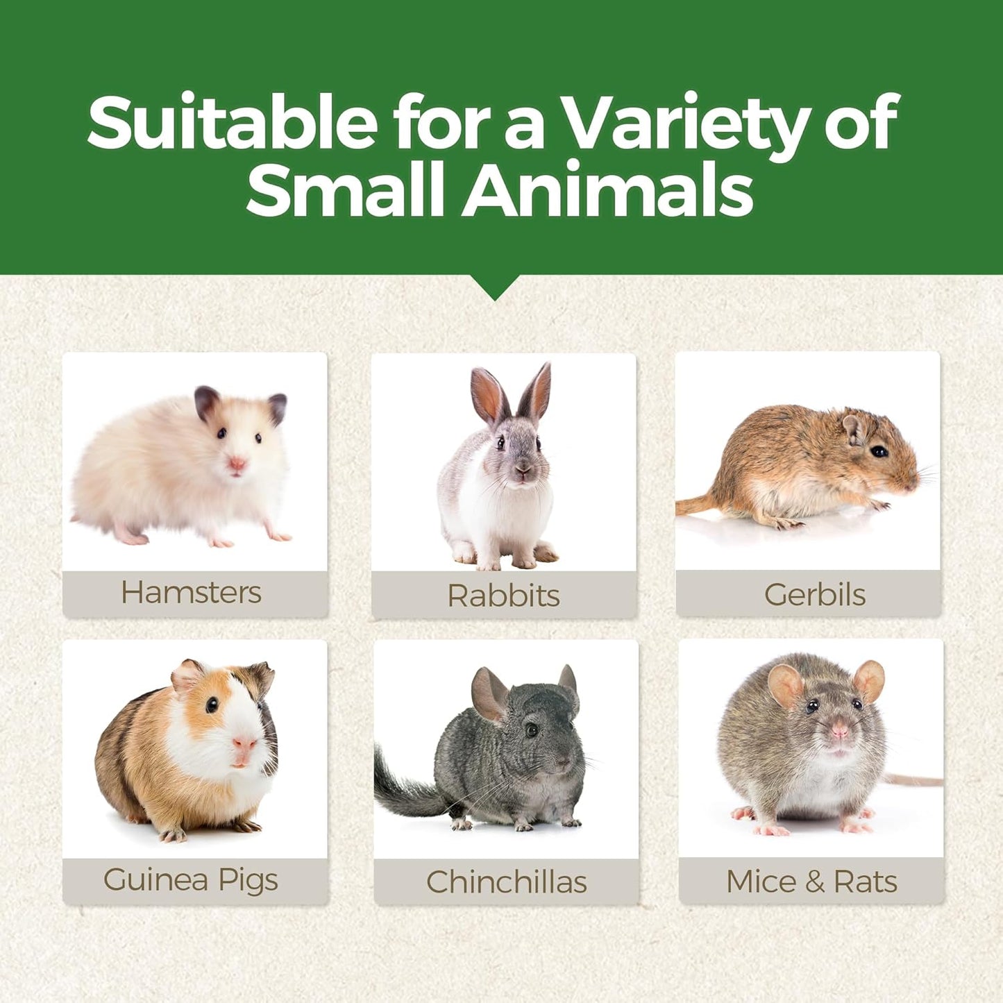 TEEWY 6PCS Hamster Chew Toys, Guinea Pig Chew Toys for Teeth with Natural Vegetables and Timothy Grass, Chinchilla Toys,Dental Care for Rats/Guinea Pigs/Hamsters and Gerbil, Leaf-Shape