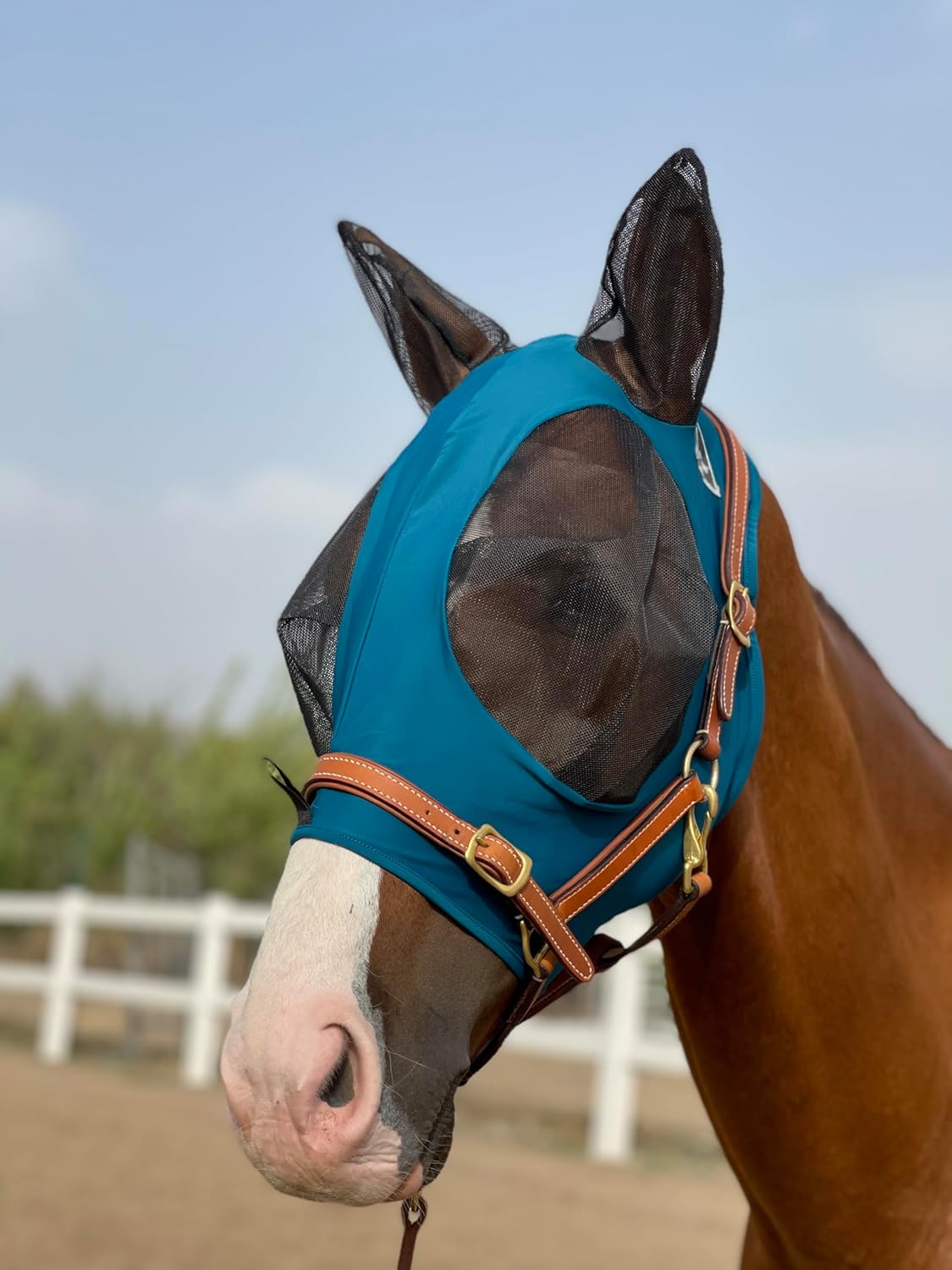 Horse Fly Mask Super Comfort Horse Fly Mask Elasticity Fly Mask with Ears We Only Make Products That Horses Like… (Dark Green, L)