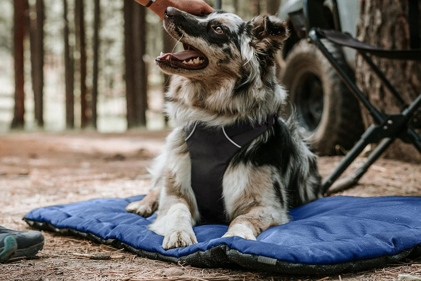 K9 Ballistics Tough Ripstop Dog Crate Pad - Durable & Machine Washable with Non-Skid Bottom and 120-Day Warranty, Fits 54" Wire Crates - XX-Large, Obsidian Black