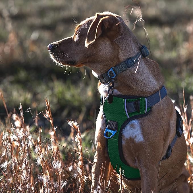 Embark Adventure Dog Harness, Reflective Trim No Pull Dog Harness Medium Sized Dogs - Military Grade Nylon, Front Clip with Gel Lined Handle.