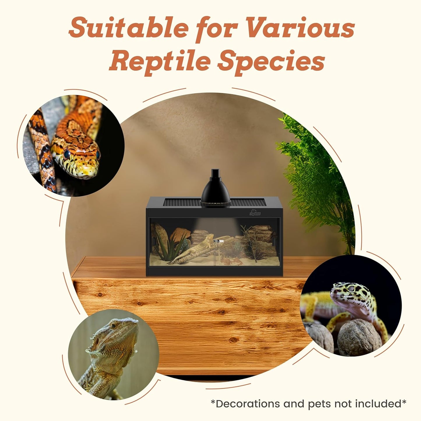 20 Gallon PVC Reptile Enclosure, RepWild 24"x18"x12" Terrarium/Tank with Heavy-Duty Screen Top, Glass Sliding Doors & Lock for Bearded Dragons, Ball Python, Geckos, Lizards