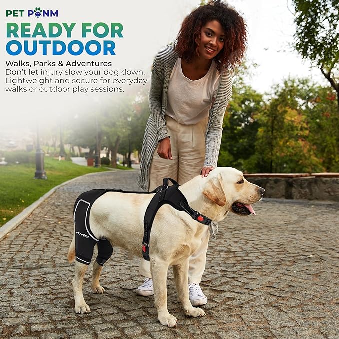 Comfortable Dog Knee Brace for Both Hind Legs with Harness - for ACL Tear, Luxating Patellae, Osteoarthritis & Instability - for Recovery & Injury Prevention in Active/Aging Dogs - (Small)