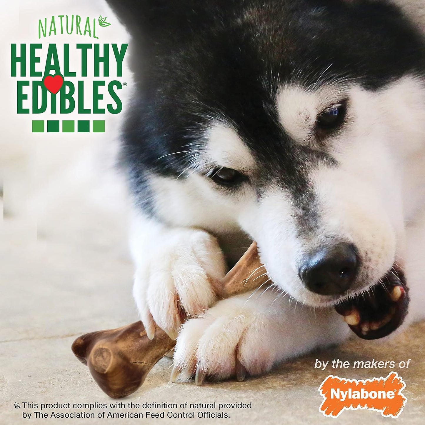 Nylabone Healthy Edibles WILD Natural Longer-Lasting Chew Treats, Venison Flavor, Large Dogs Up to 50 lbs - Made in USA (1 Count)