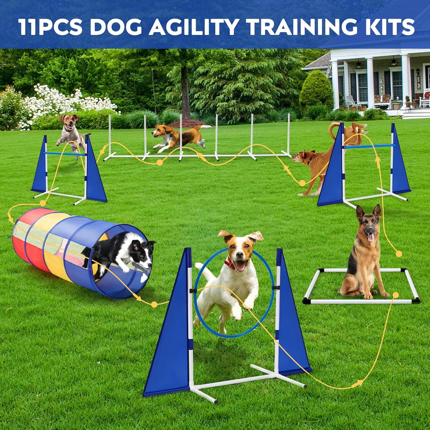 Dog Agility Training Equipment,Course Backyard Set Training Equipment for Dogs Pet Outdoor Game with Yellow, Blue and Red Tunnel, Agility Hurdle, Poles, Jump Ring, Pause Box, Toy Balls and Storage Bag