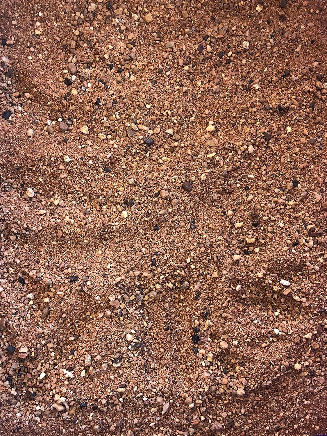 Australian Desert Dragon Habitat 20lb Substrate for Bearded Dragons and Other Lizards, Red (DESERT020)